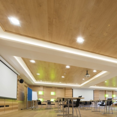 Oczko V-TAC SKU3166 VT-875-WG