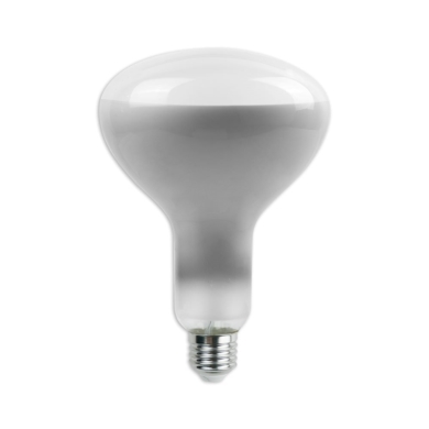 Żarówka V-TAC SKU7468 VT-2198D 6500K 8W 600lm