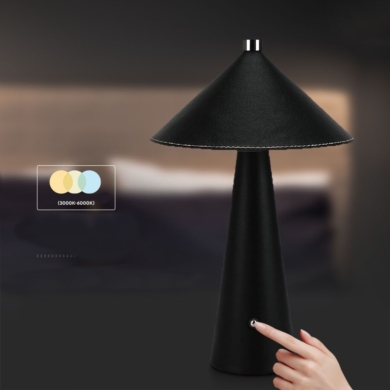 Lampka V-TAC SKU23417 VT-10117 3000K-6000K 3W 240l